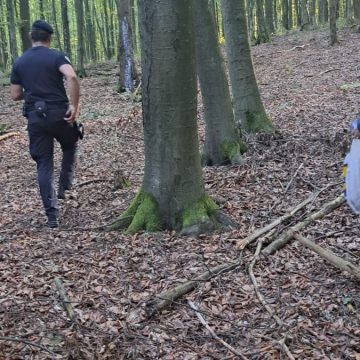 ASUAJU DE SUS: Două persoane rătăcite în pădure, găsite de jandarmii maramureșeni ASUAJU DE SUS: Două persoane rătăcite în pădure, găsite de jandarmii maramureșeni