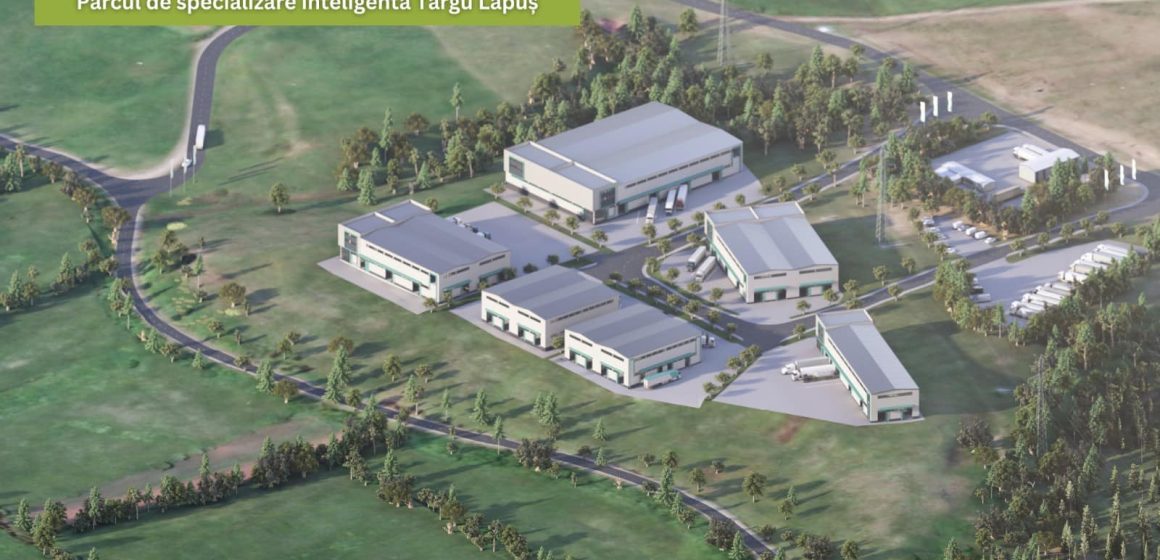 IMPLEMENTARE PROIECT: Dezvoltare Parc Specializare Inteligentă Târgu Lăpuș