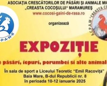 EXPOZIȚIE de păsări, iepuri, porumbei și alte animale mici EXPOZIȚIE de păsări, iepuri, porumbei și alte animale mici