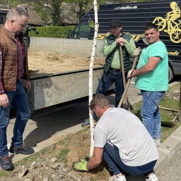 BAIA MARE: În anul 2024 s-au plantat 585 de arbori din peste 30 de specii BAIA MARE: În anul 2024 s-au plantat 585 de arbori din peste 30 de specii