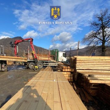 ACȚIUNI PE LINIE SILVICĂ: Amenzi de aproape 170.000 de lei date de polițiștii maramureșeni ACȚIUNI PE LINIE SILVICĂ: Amenzi de aproape 170.000 de lei date de polițiștii maramureșeni