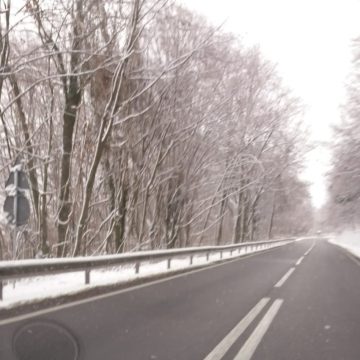 PROGNOZĂ ANM: Ce vreme vom avea în Maramureș în următoarele două săptămâni PROGNOZĂ ANM: Ce vreme vom avea în Maramureș în următoarele două săptămâni