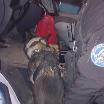 ACȚIUNE TIP BLOCADA: 97 de persoane legitimate și 74 de mașini controlate