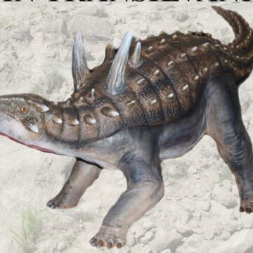 EXPOZIȚIE: Ultimii dinozauri din Transilvania, la Muzeul de Mineralogie