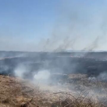 ISU: Incendiu de vegetație uscată pe o suprafață de aproximativ 20 de hectare în zona Coltău