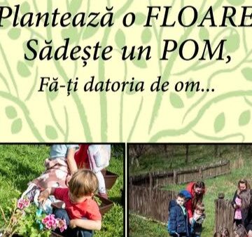 MUZEUL SATULUI BAIA MARE: Plantează o floare, sădește un pom, fă-ți datoria de om… MUZEUL SATULUI BAIA MARE: Plantează o floare, sădește un pom, fă-ți datoria de om…