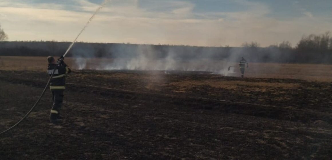ISU: Zeci de incendii de vegetație în luna martie în Maramureș