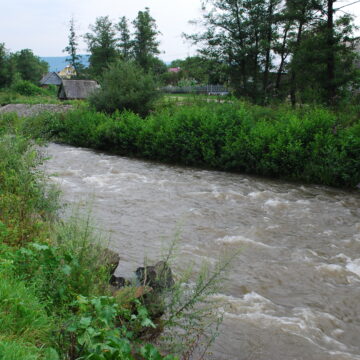 ACȚIUNE de ecologizare a râului Săpânța ACȚIUNE de ecologizare a râului Săpânța