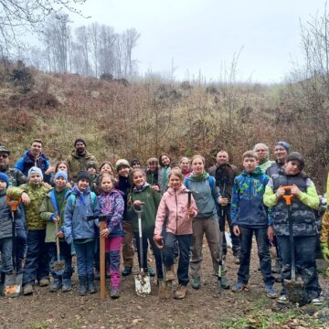 VALEA USTUROIULUI: Treizeci de cercetași au plantat 150 de castani comestibili