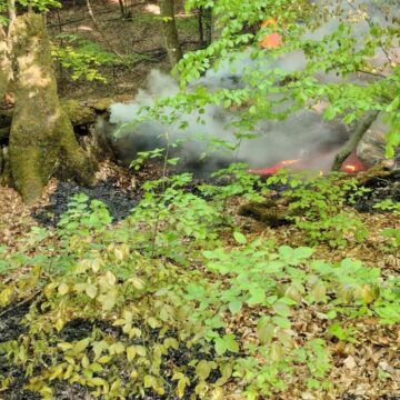 ISU: Incendiu de litieră de pădure în comuna Lăpuș ISU: Incendiu de litieră de pădure în comuna Lăpuș