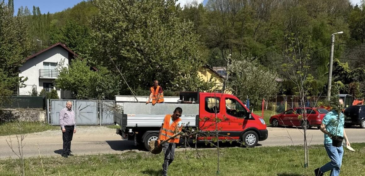 PAP ZSOLT ISTVÁN: Plantările aferente primăverii 2025 s-au încheiat