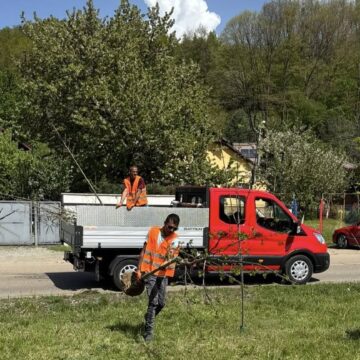 PAP ZSOLT ISTVÁN: Plantările aferente primăverii 2025 s-au încheiat PAP ZSOLT ISTVÁN: Plantările aferente primăverii 2025 s-au încheiat