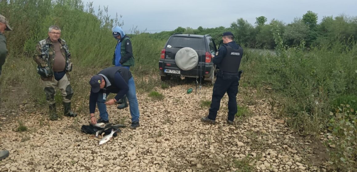 JANDARMERIA MARAMUREȘ: Acțiune pentru combaterea pescuitului ilegal