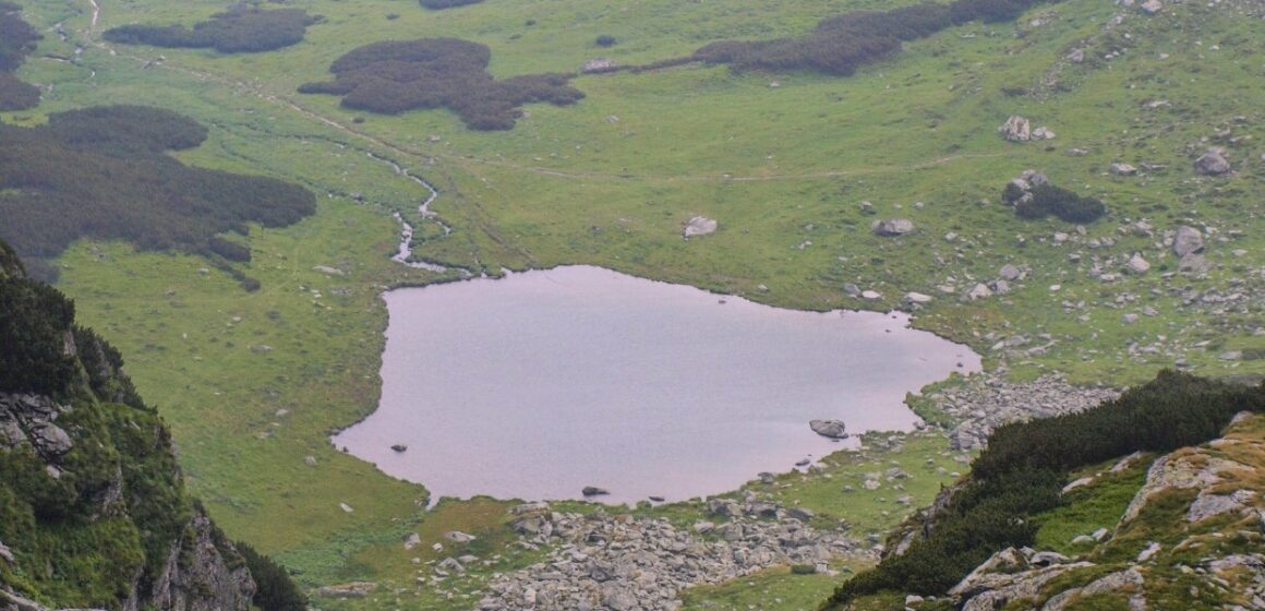 BAIA MARE: Simpozionul „Patrimoniul natural”, la Muzeul de Mineralogie