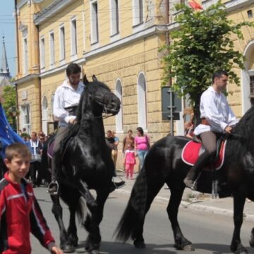 SIGHETU MARMAȚIEI: Restricții de circulația pentru parada cavalerească SIGHETU MARMAȚIEI: Restricții de circulația pentru parada cavalerească