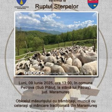 RUPTUL STERPELOR, o zi precum în vremurile de odinioară la Petrova