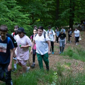 ECOTURISM în Poiana Boului – educație ecologică și acțiune practică ECOTURISM în Poiana Boului – educație ecologică și acțiune practică