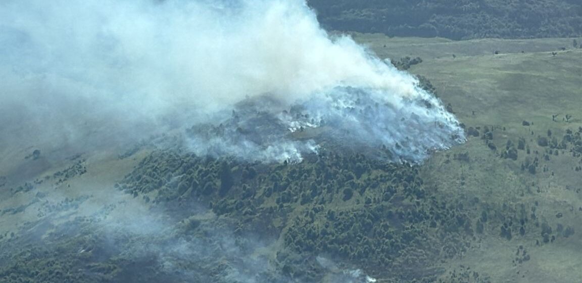 SĂPÂNȚA: Incendiu de vegetație pe 20 de hectare