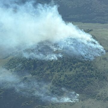 SĂPÂNȚA: Incendiu de vegetație pe 20 de hectare SĂPÂNȚA: Incendiu de vegetație pe 20 de hectare