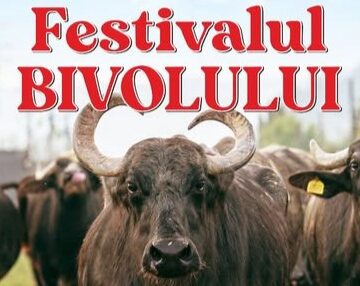 FESTIVALUL BIVOLULUI din Țara Lăpușului la cea de a 2-a ediție FESTIVALUL BIVOLULUI din Țara Lăpușului la cea de a 2-a ediție