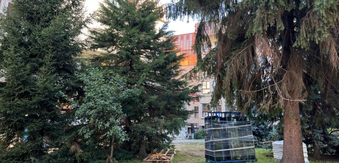 PINTÉR ZSOLT: Solicitare de extindere a spațiului verde din fața Palatului Administrativ