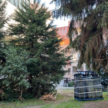 PINTÉR ZSOLT: Solicitare de extindere a spațiului verde din fața Palatului Administrativ