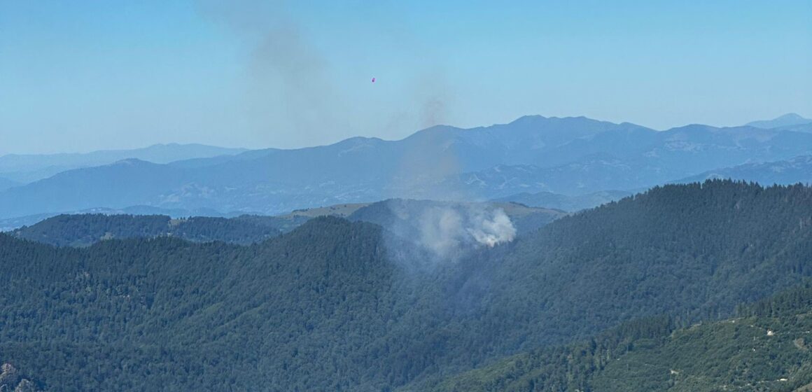 INCENDIU de fond forestier în Masivul Țibleș INCENDIU de fond forestier în Masivul Țibleș