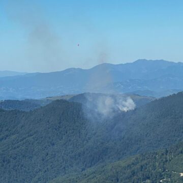 INCENDIU de fond forestier în Masivul Țibleș