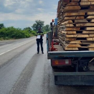 IPJ: Amplă acțiune pentru combaterea delictelor silvice IPJ: Amplă acțiune pentru combaterea delictelor silvice