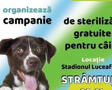 STRÂMTURA: Campanie de sterilizare gratuită câini STRÂMTURA: Campanie de sterilizare gratuită câini