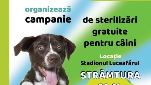 STRÂMTURA: Campanie de sterilizare gratuită câini STRÂMTURA: Campanie de sterilizare gratuită câini