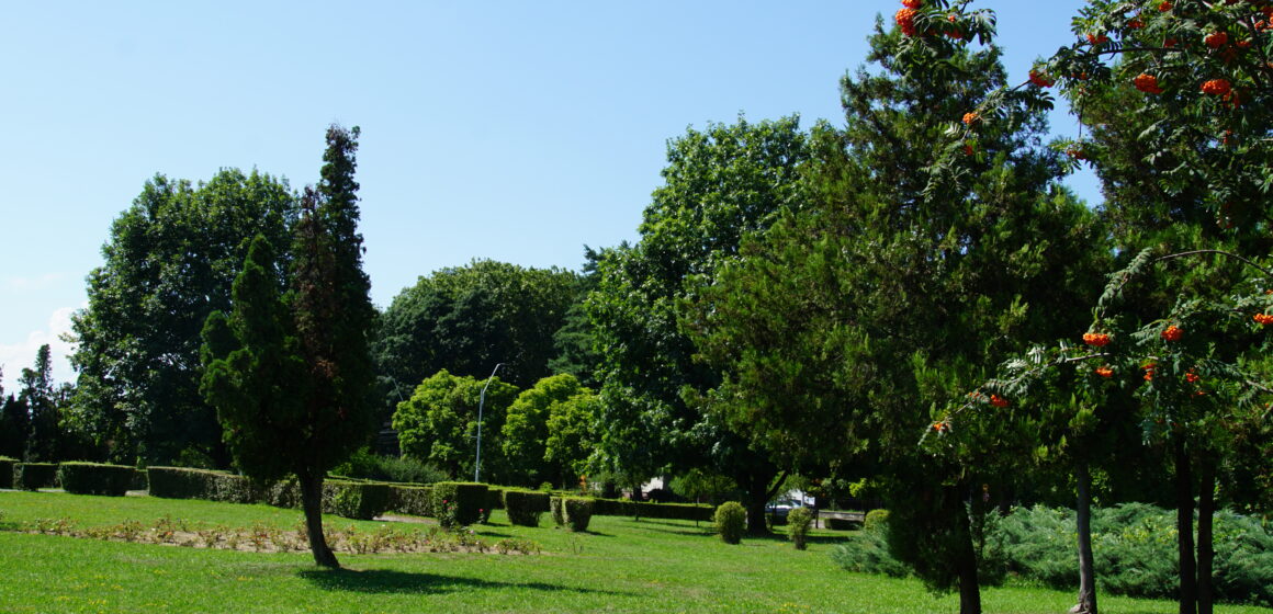 PIAȚA UNIVERSITĂȚII BAIA MARE: Picnic urban și întâlnire cu proiectantul și autorități duminică la ore diferite