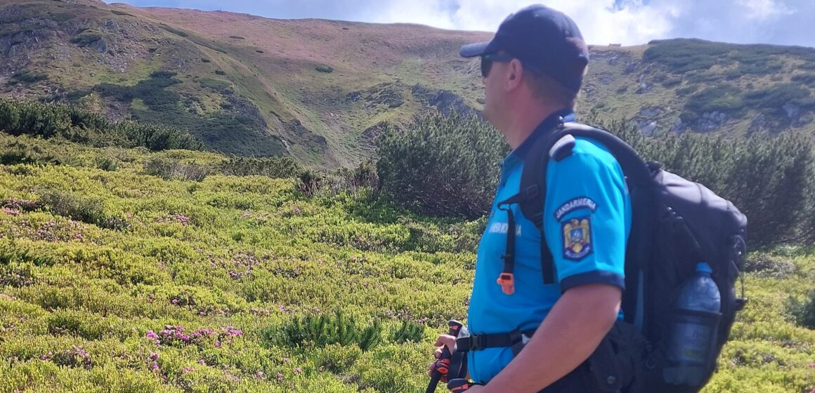 INSPECTORATUL DE JANDARMI: Cum procedăm în cazul în care întâlnim un urs în drumul nostru? INSPECTORATUL DE JANDARMI: Cum procedăm în cazul în care întâlnim un urs în drumul nostru?