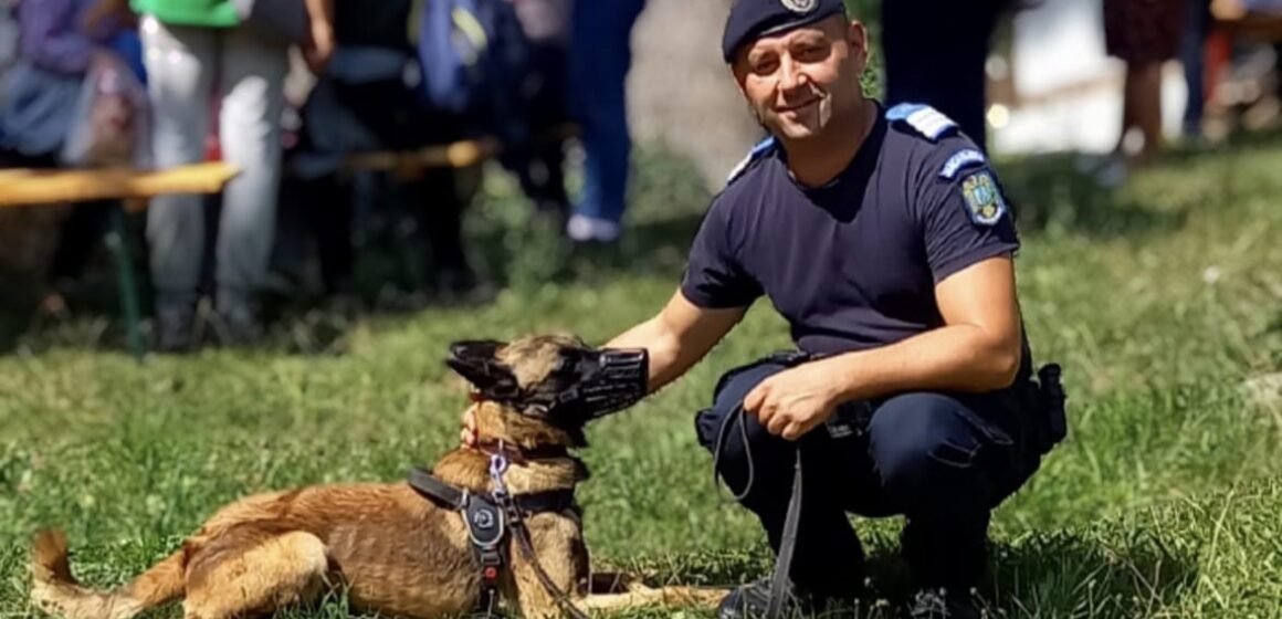 VIDEO: Camarazii patrupezi ai Jandarmeriei Maramureș