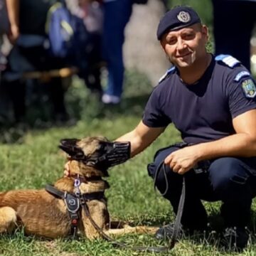 VIDEO: Camarazii patrupezi ai Jandarmeriei Maramureș