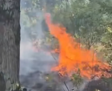 INCENDIU de vegetație la Fersig INCENDIU de vegetație la Fersig