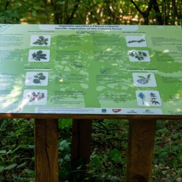 MODIFICARE DATĂ inaugurare traseu tematic – Pădurea Crăiasca, Ocna Șugatag MODIFICARE DATĂ inaugurare traseu tematic – Pădurea Crăiasca, Ocna Șugatag