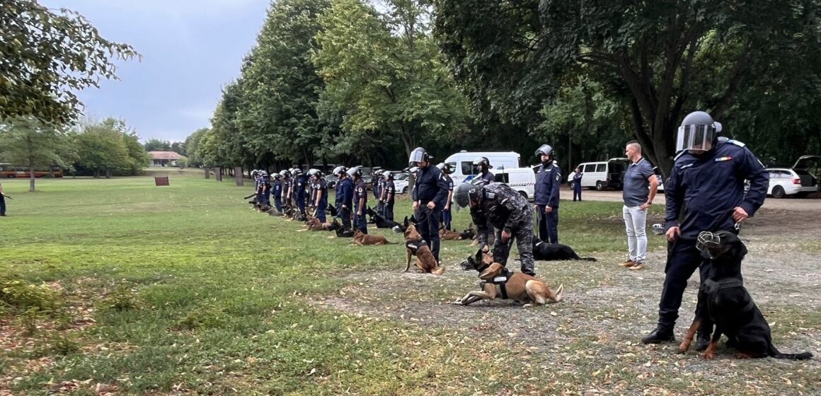 JANDARMERIA MARAMUREȘ: Câinele Edam și conductorul său Daniel Timar la curs de pregătire în Dunakeszi, Ungaria