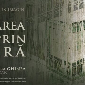 COLONIA PICTORILOR: Lansare de carte – Dezvoltarea locală prin cultură