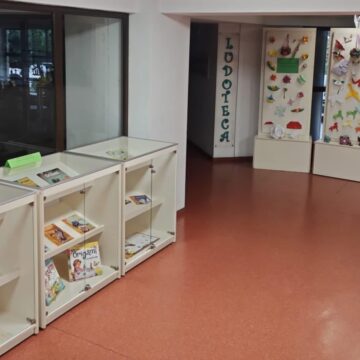 ZIUA MONDIALĂ ORIGAMI: Magia hârtiei pliate din expozițiile de carte și figurine la Biblioteca Județeană