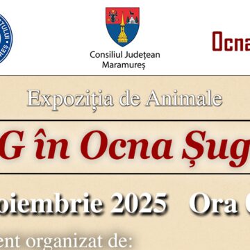 SE REDESCHIDE Târgul de animale din Ocna Șugatag – Consiliul Județean Maramureș readuce la viață tradiția târgurilor zootehnice SE REDESCHIDE Târgul de animale din Ocna Șugatag – Consiliul Județean Maramureș readuce la viață tradiția târgurilor zootehnice