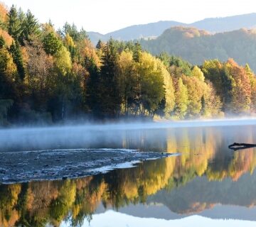 VITAL: Sfaturi utile pentru reducerea consumului de apă și protejarea resurselor naturale VITAL: Sfaturi utile pentru reducerea consumului de apă și protejarea resurselor naturale