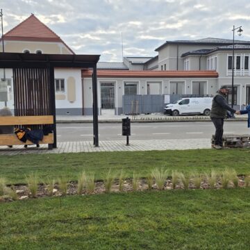 BAIA SPRIE: Transformarea fostului cinematograf în Centru Multifuncțional se apropie de final BAIA SPRIE: Transformarea fostului cinematograf în Centru Multifuncțional se apropie de final