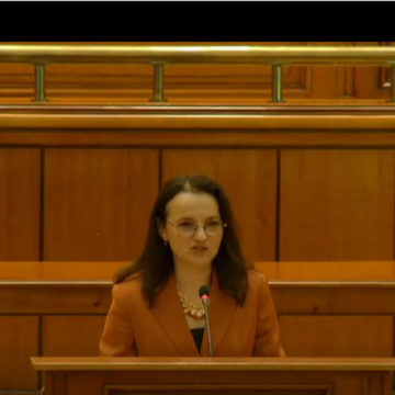 ZAHORÁNSZKI BRIGITTA: Instituirea anului 2026 ca Anul Iancu de Hunedoara