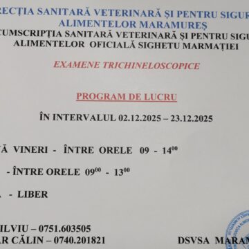 VIDEO: DSVSA Maramureș pune la dispoziție medici veterinari în punctele de verificare VIDEO: DSVSA Maramureș pune la dispoziție medici veterinari în punctele de verificare