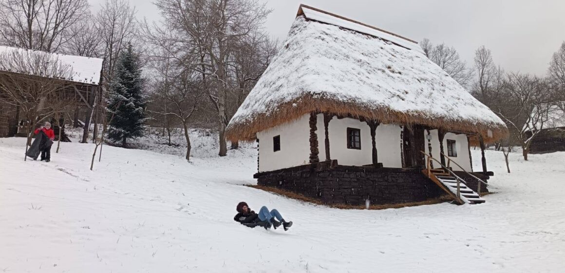 MUZEUL SATULUI BAIA MARE: Liber la săniuș