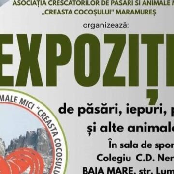 BAIA MARE: Se deschide expoziția anuală de păsări și animale mici