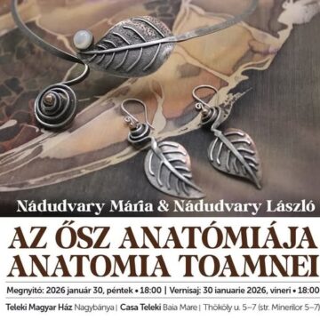 ANATOMIA TOAMNEI: Se deschide expoziția de bijuterii emailate și textile realizate cu tehnica baticului la Casa Maghiară Teleki