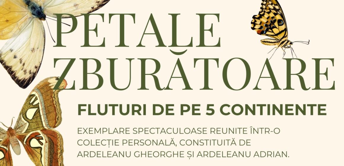 MUZEUL DE MINERALOGIE: Petale zburătoare – Fluturi de pe 5 continente MUZEUL DE MINERALOGIE: Petale zburătoare – Fluturi de pe 5 continente