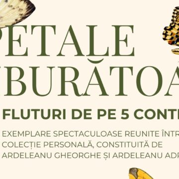 MUZEUL DE MINERALOGIE: Petale zburătoare – Fluturi de pe 5 continente